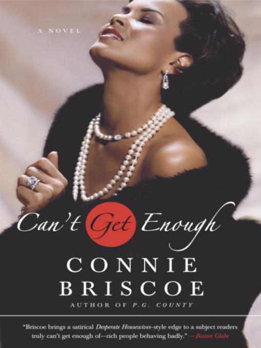 Title details for Can't Get Enough by Connie Briscoe - Wait list